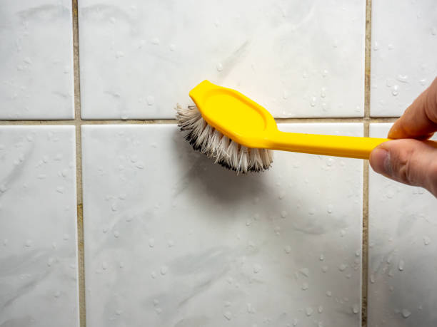 Best Mold Removal Near Me  in Maunawili, HI