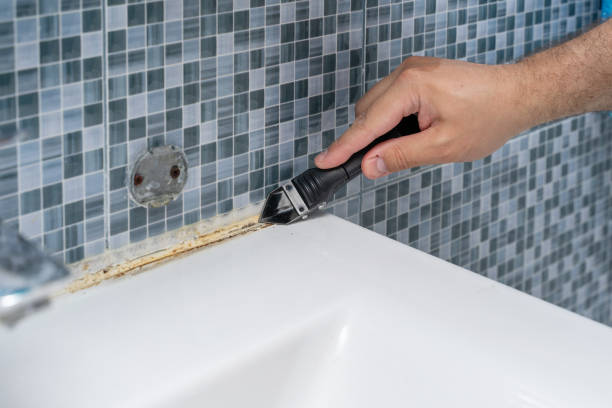 Best Mold Testing and Removal  in Maunawili, HI