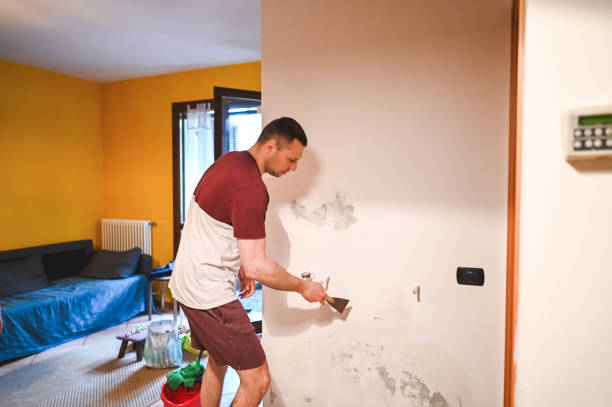 Trusted Maunawili, HI Mold Removal Experts